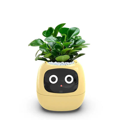 AI Smart Sensor Indoor Planter